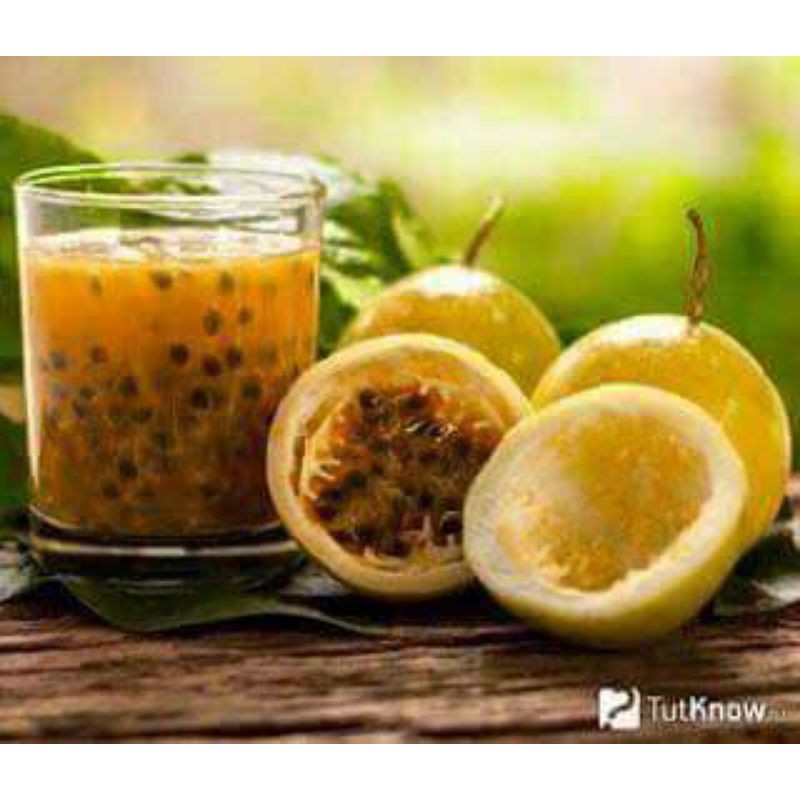 Cây giống chanh dây vàng nhật bản