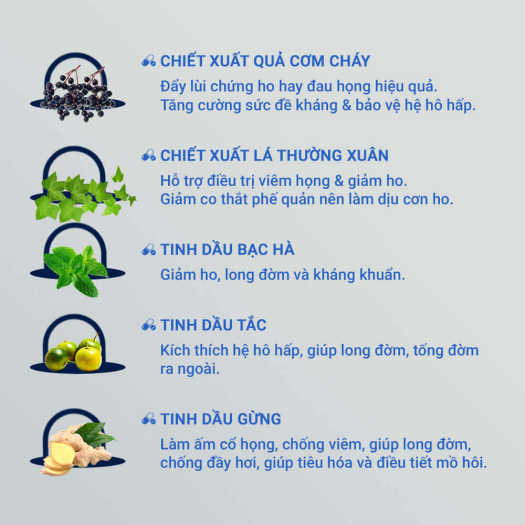 Viên kẹo ngậm ho streptana / eucatana [mới]