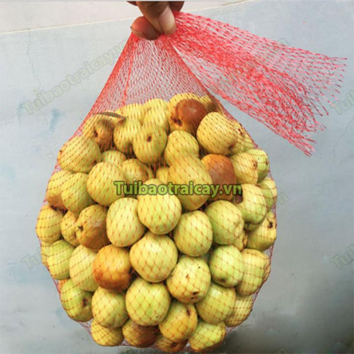 1kg Túi lưới màu đỏ dài 25cm