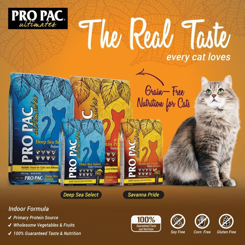 Hạt Pro Pac không ngũ cốc cho mèo 2kg