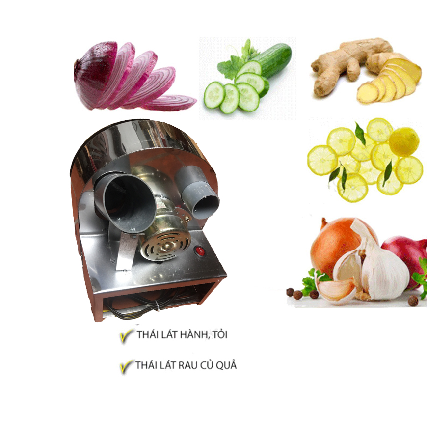MÁY THÁI HÀNH TỎI INOX MOTER ĐIỆN
