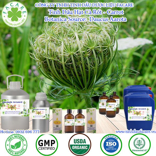 Tinh Dầu Hạt Cà Rốt Carrot seed essential oil - 10ml