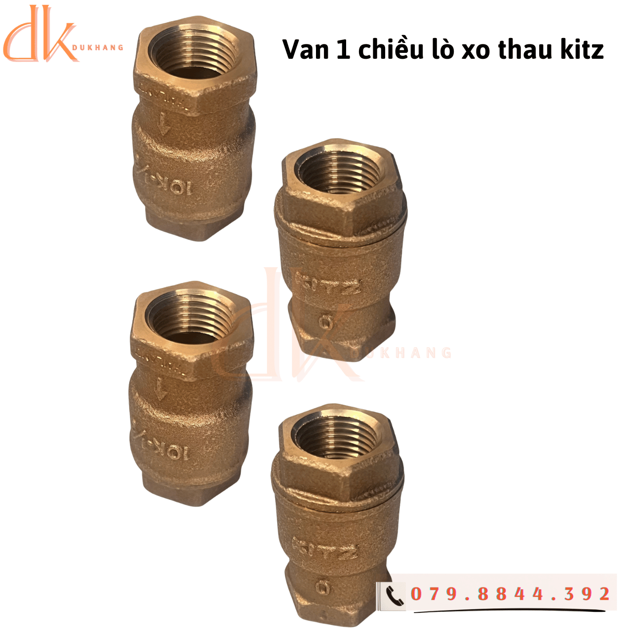 Van 1 chiều lò xo thau kitz