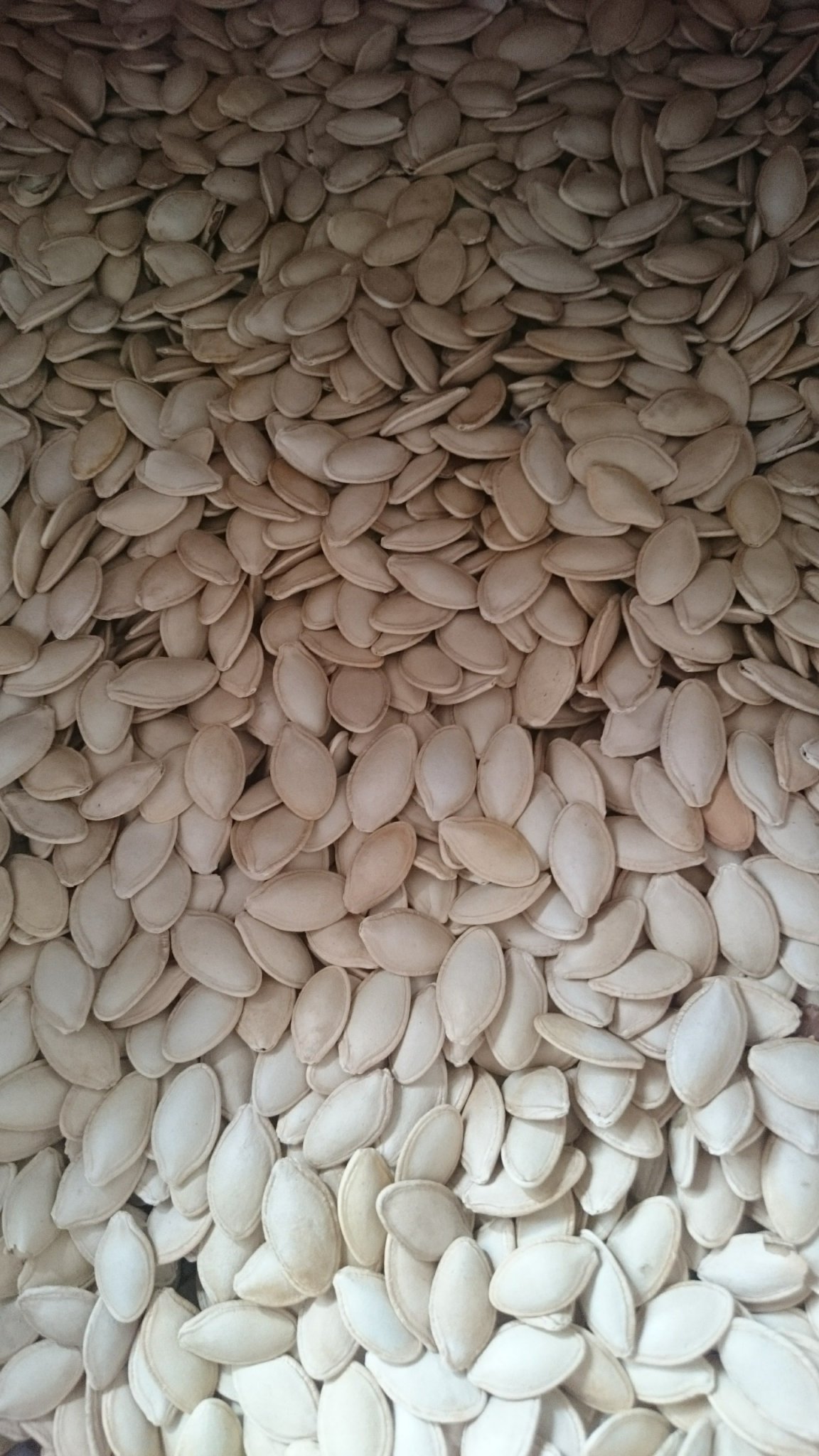 500gr Hạt Bí Rang Tay Loại 1