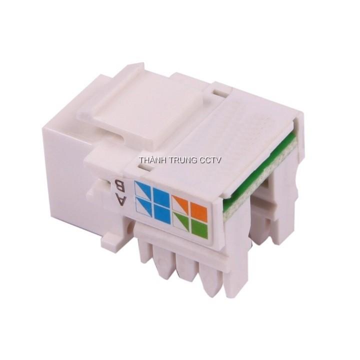 Nhân mạng âm tường Cat5e