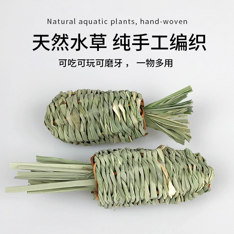 Đồ chơi gặm nhắm cà rốt cho Thỏ, Bọ, Chinchilla