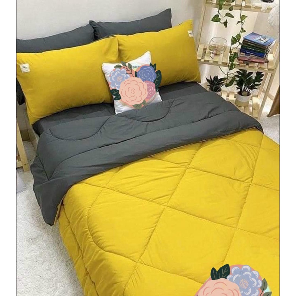 Bộ chăn phao trần bông dày êm và ga gối cotton tici phối màu trơn cao cấp