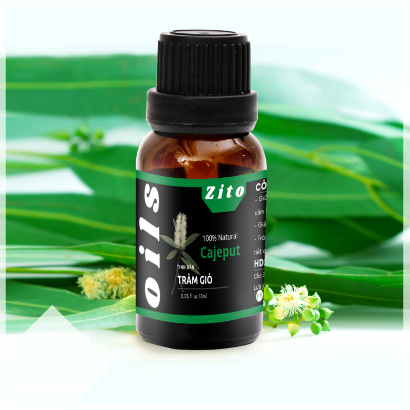 [HCM]Tinh Dầu Tràm Gió Zito 10ml