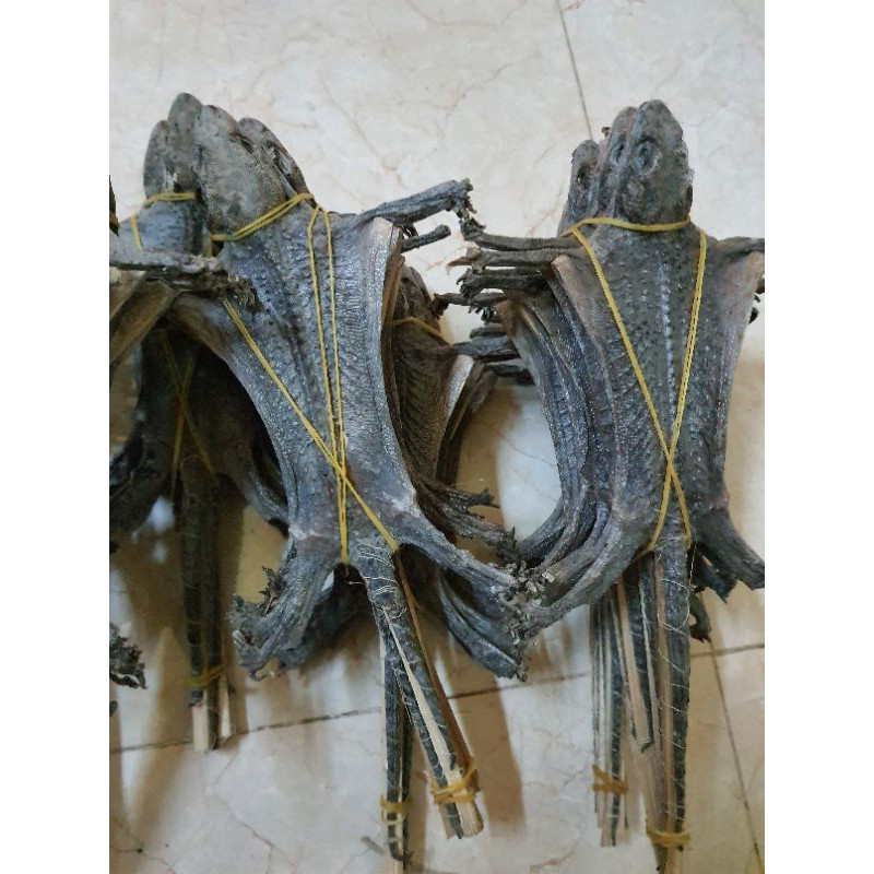 Tắc Kè Khô Size Trung Hàng Chuẩn Chất Lượng