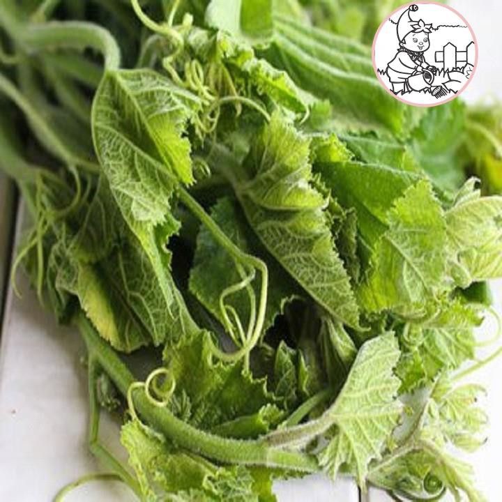 HẠT BÍ NGỌN SIÊU ĐỌT- GÓI 20 GRAM