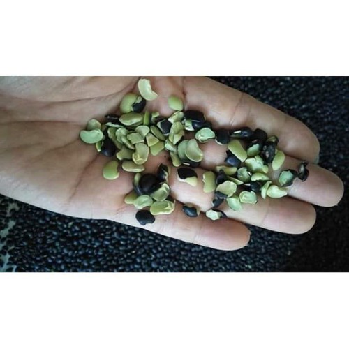 Trà đậu đen 1kg