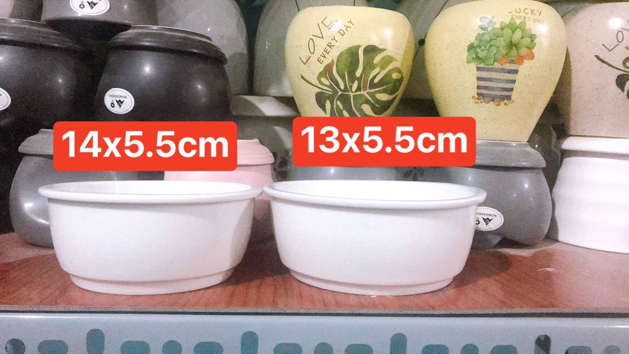Bộ 2 chậu sứ trồng cây