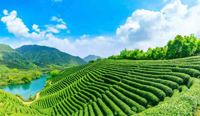 Tranh 3d phòng khách, decal dán tường phòng khách