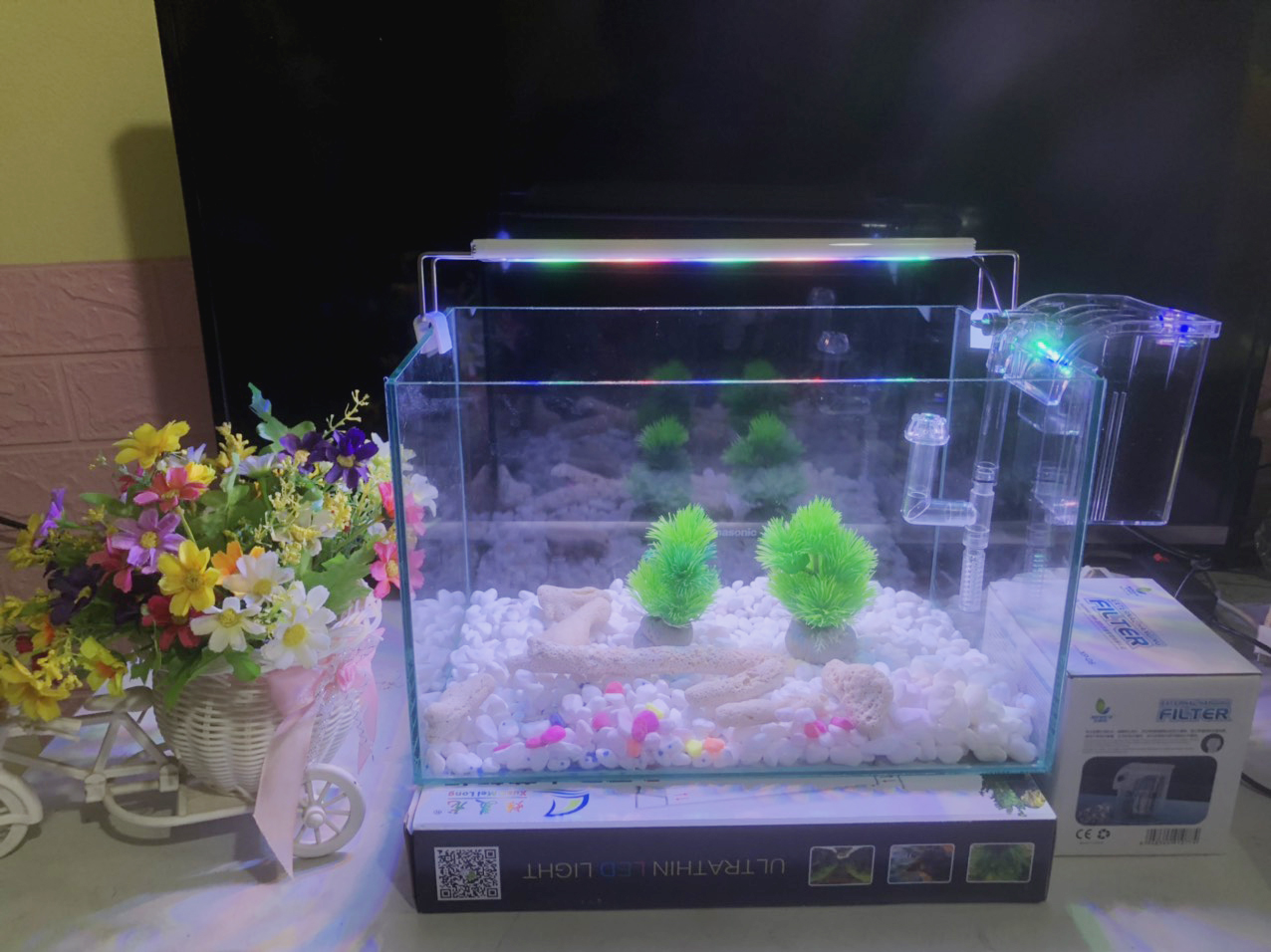 Hồ cá, bể cá full combo 6 món phụ Kiện D38 R20 H20