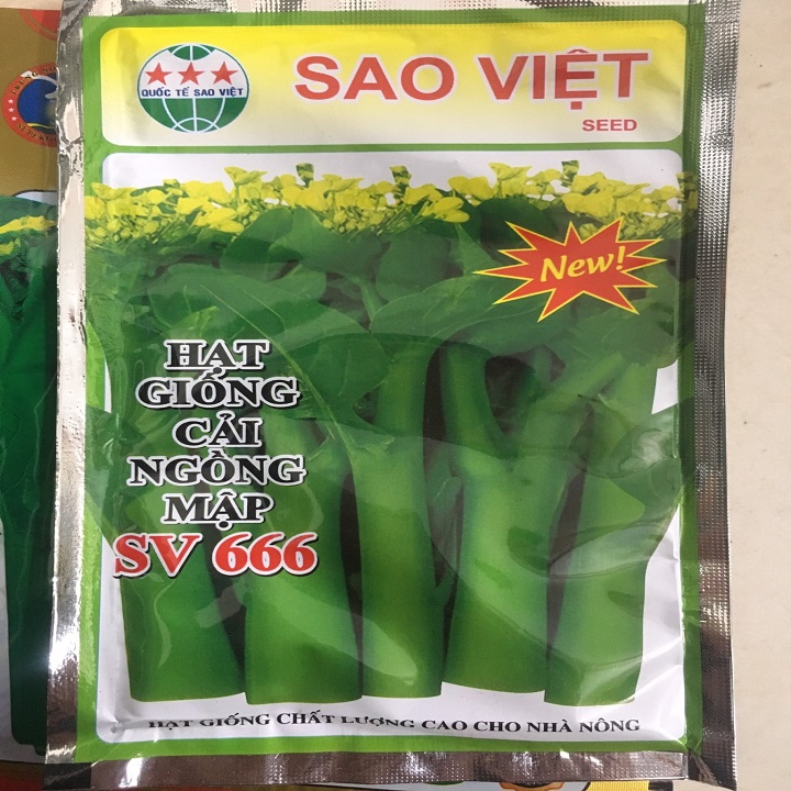 Hạt giống rau Cải Ngồng Mập SV666