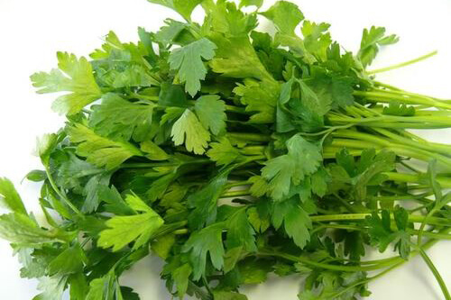 Hạt giống rau Cần tây tặng kích mầm
