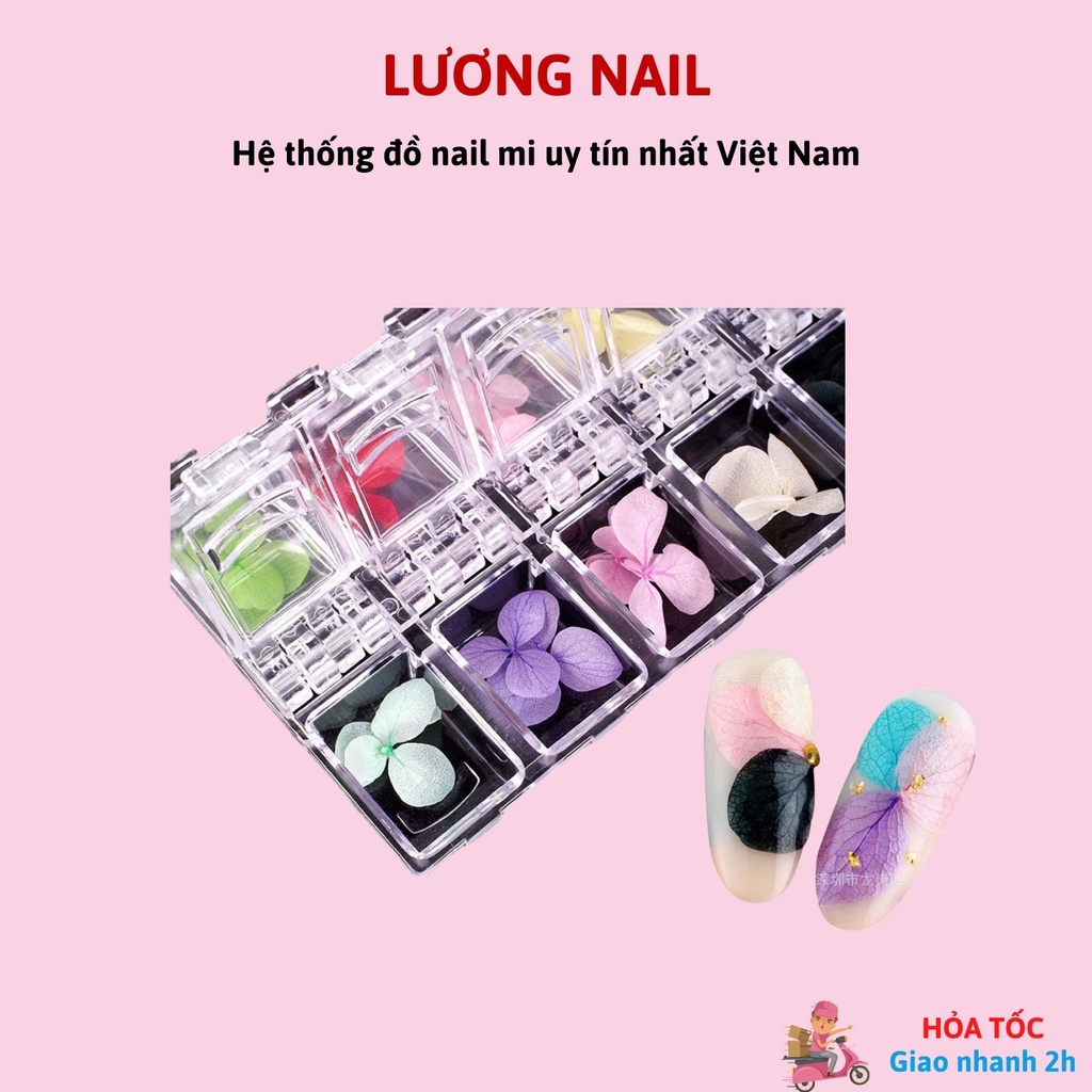 Hoa khô lụa trang trí nail ẩn gel khay 12 màu
