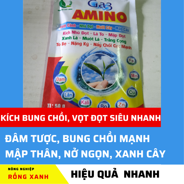 Phân bón đâm chồi vọt đọt mập đọt bung chèo đẻ nhánh (GA3 AMINO)