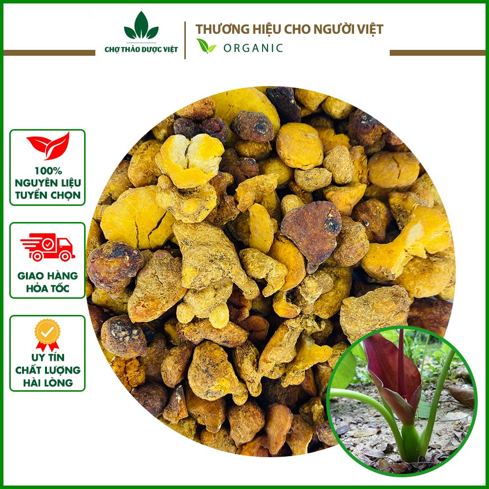 100g bán hạ chế