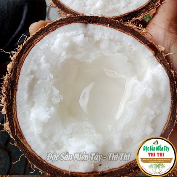 COMBO 2 Dừa Sáp Thượng Hạng Loại 1 Size Nhỏ (Trái 600gr-800gr)