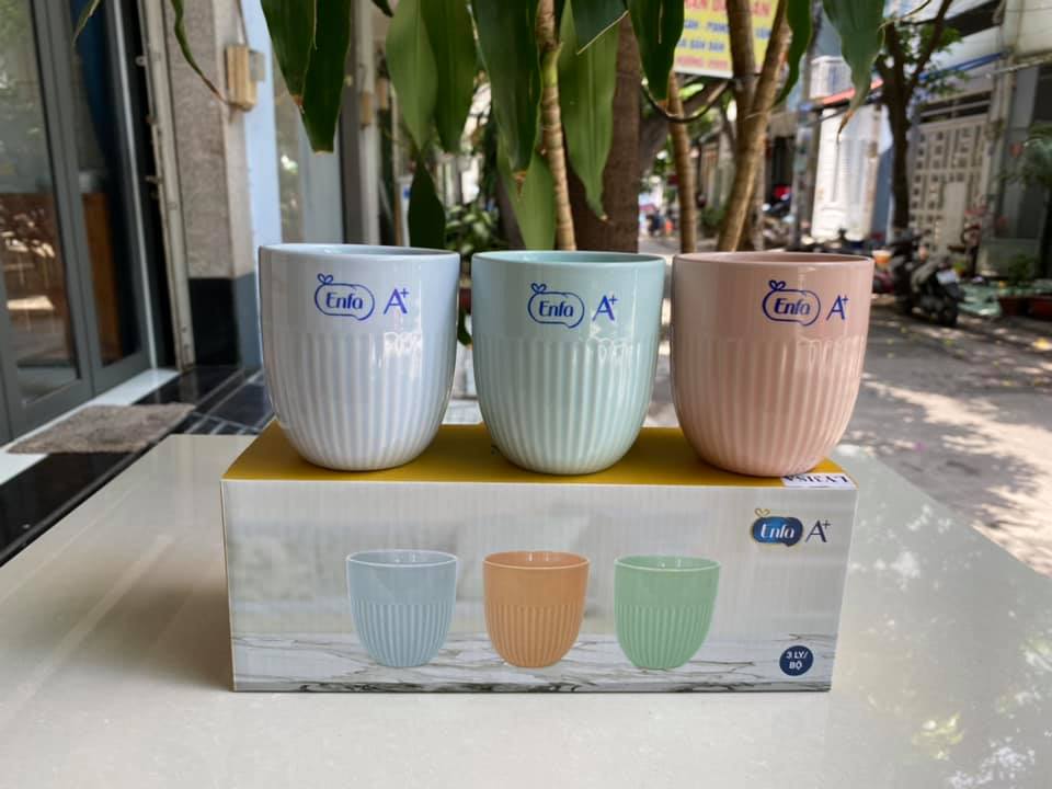 Bộ 3 ly sứ Donghwa quà enfa