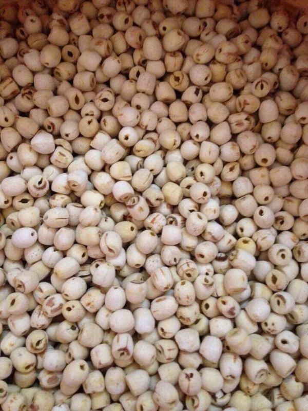 500g Hạt Sen Khô đồng tháp Loại Ngon - Hạt Sen Dẻo Bùi