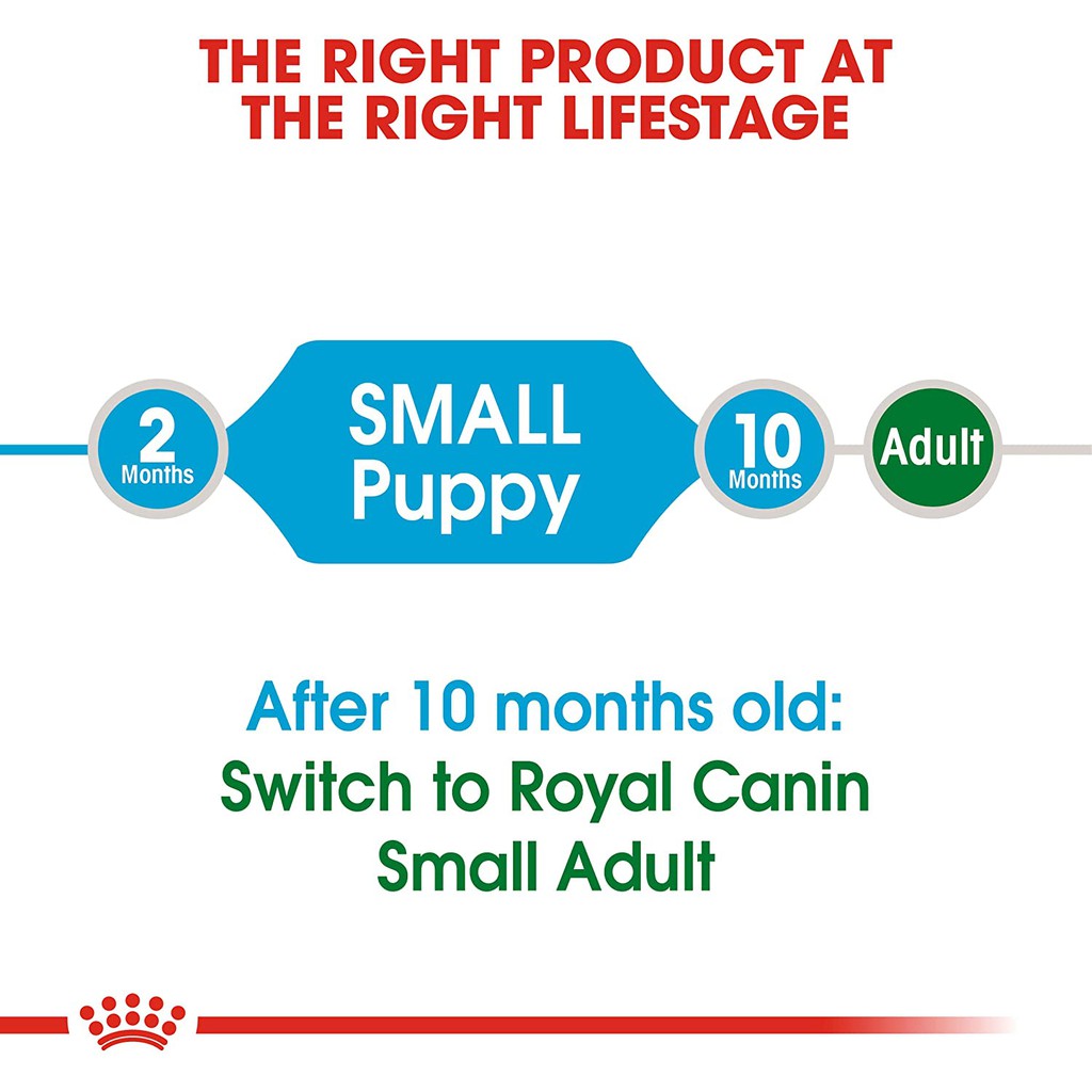 Hạt Cho Chó Con Giống Nhỏ Royal Canin Mini Puppy