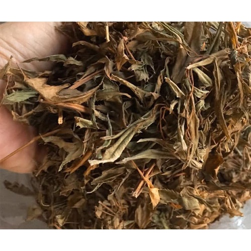 [500g] Lá Đinh Lăng khô (lá đinh năng nếp lá nhỏ) - Cực thơm ngon