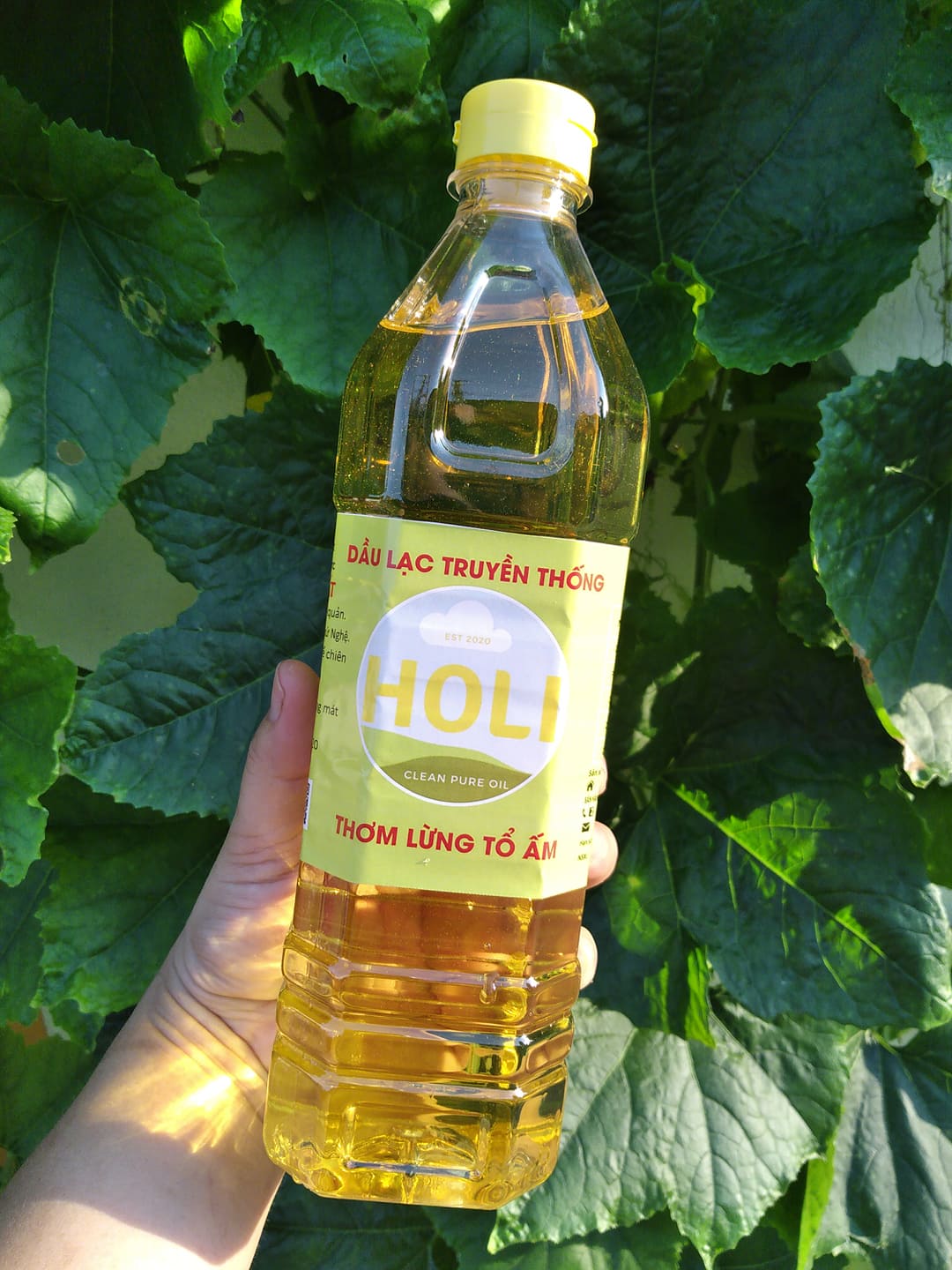 Dầu lạc nguyên chất ép lạnh Holi 1L
