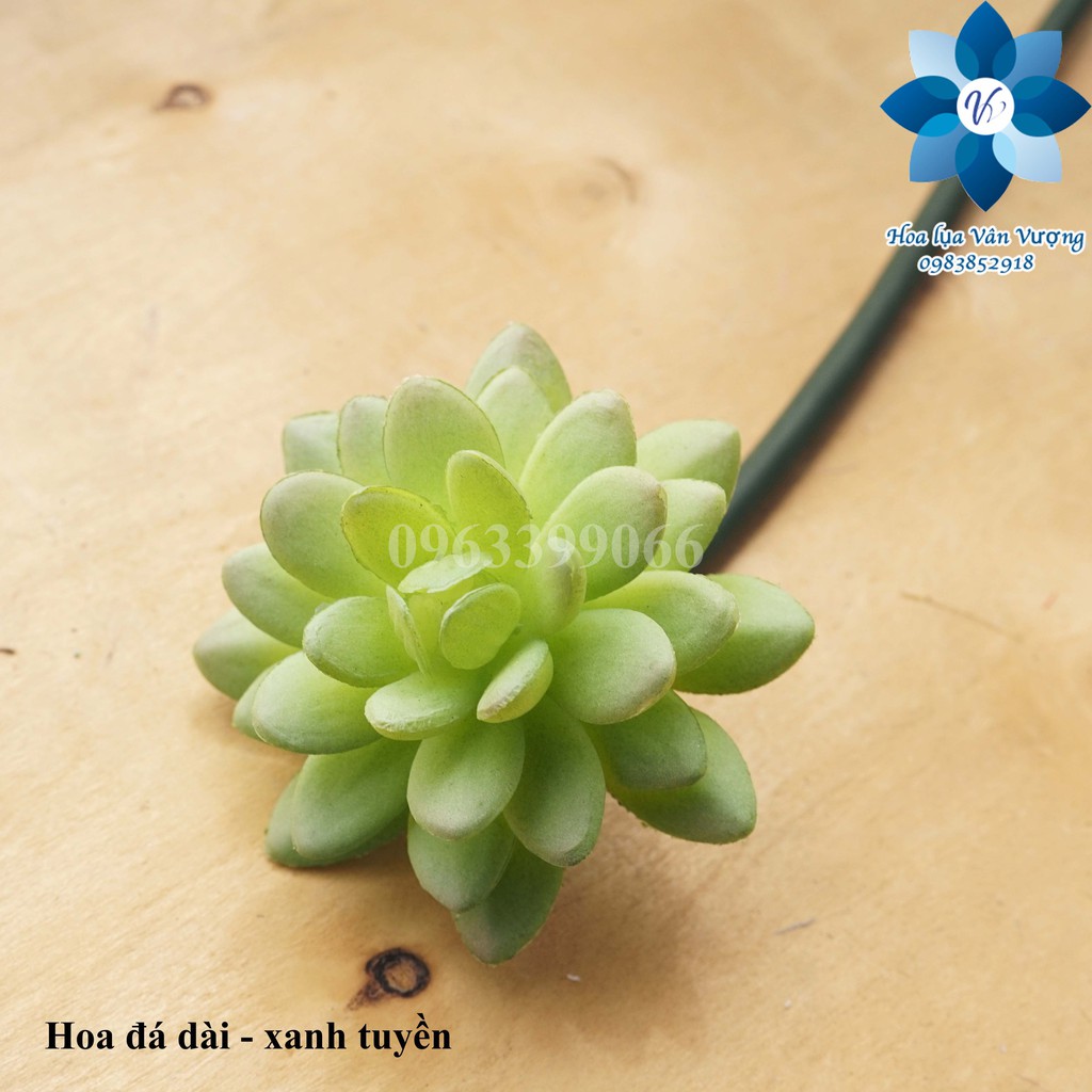 Hoa Đá Giả, Hoa Sen Đá Giả Cành Dài