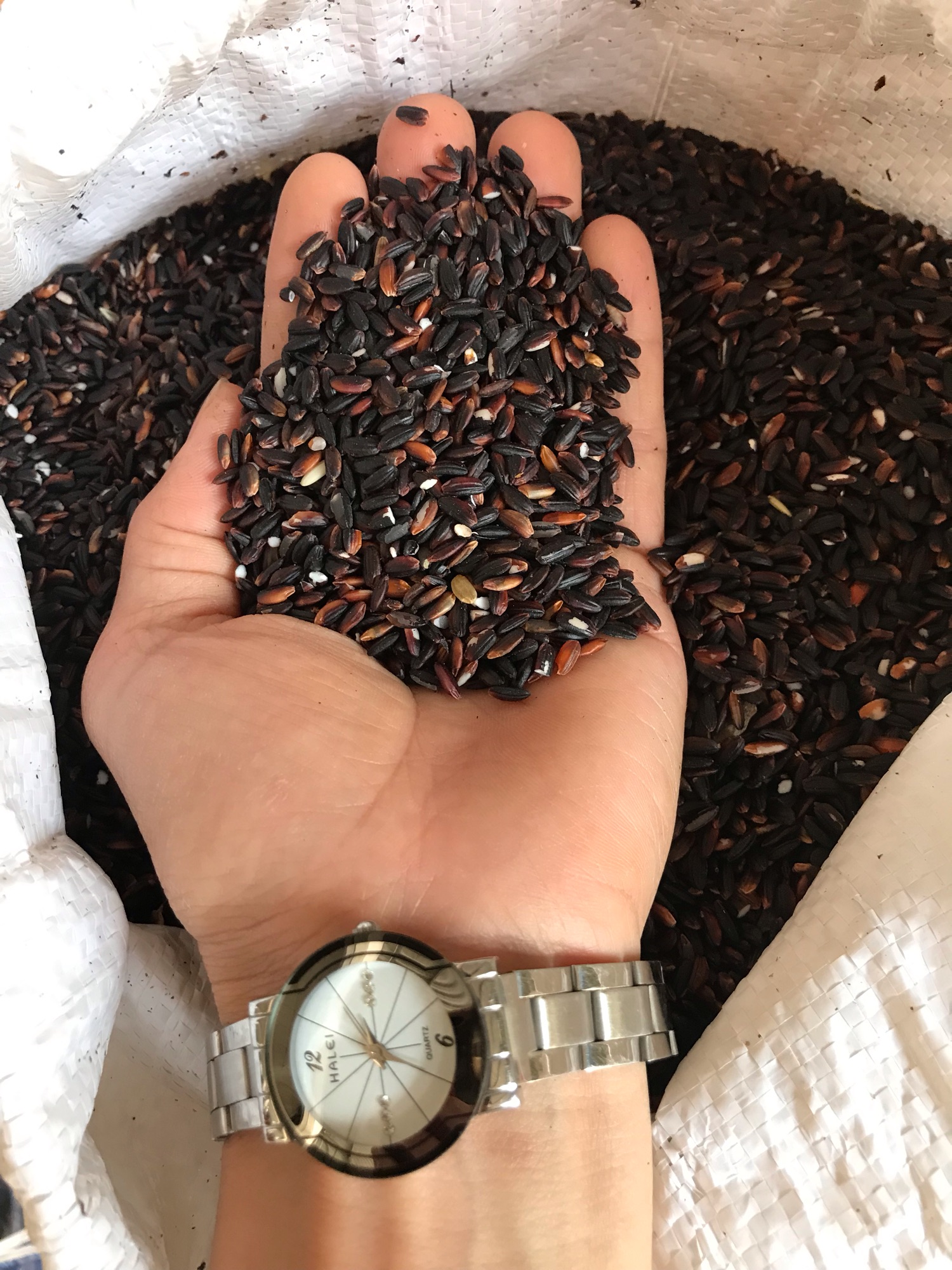 Gạo cẩm nếp nương biên (5kg)