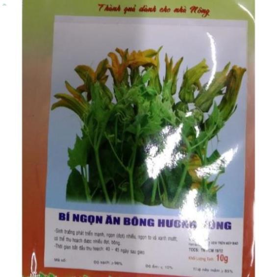 Hạt bí ngọn ăn bông - gói 10 gram