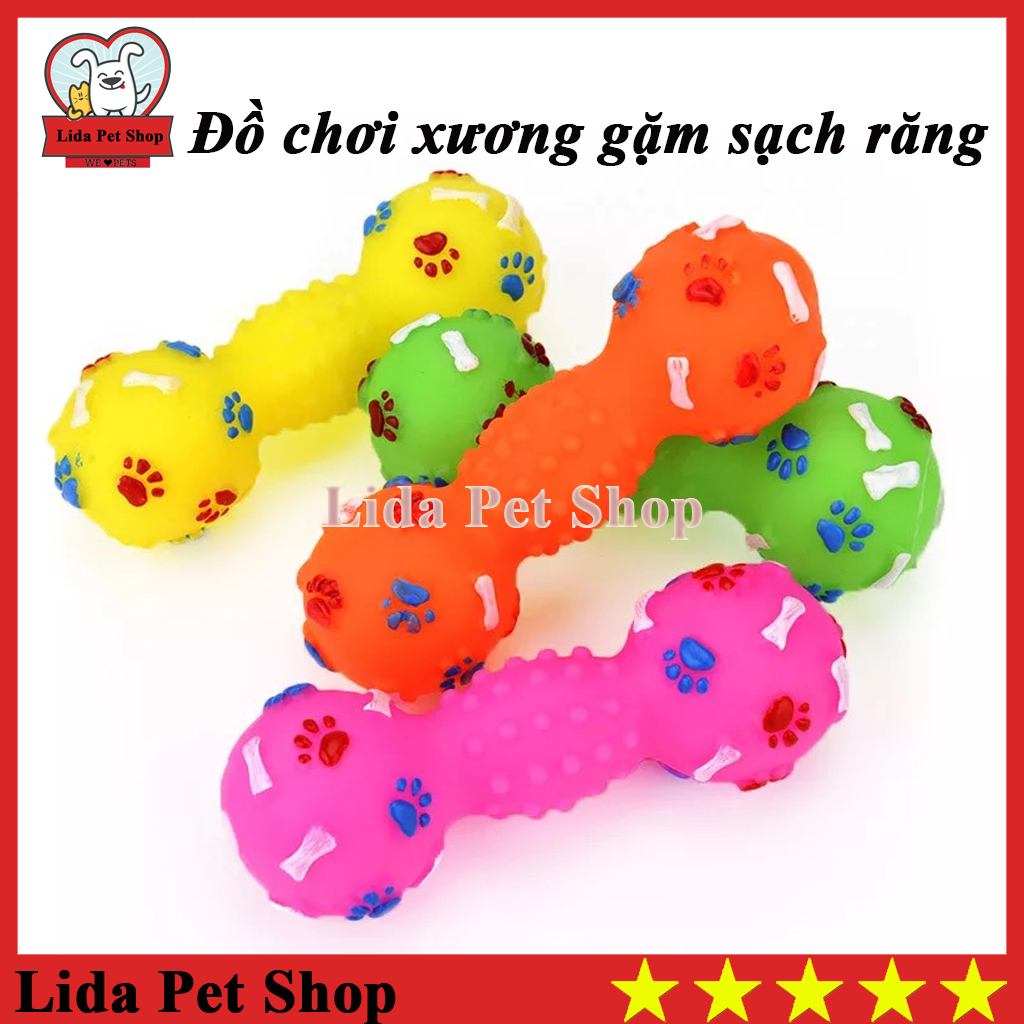 HN- Đồ chơi xương gặm sạch răng cho chó mèo bóp kêu chít chít - Lida Pet Shop