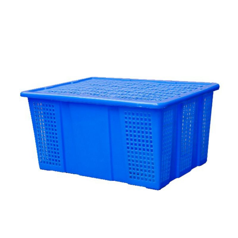 sóng trái cây có nắp ( đỏ ,dương,lá ,vàng)
