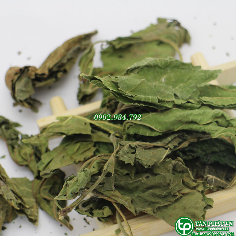 Lá dâu tằm khô 500g - tấn phát - Hàng sạch chất lượng cao - Chuyên dùng để pha trà