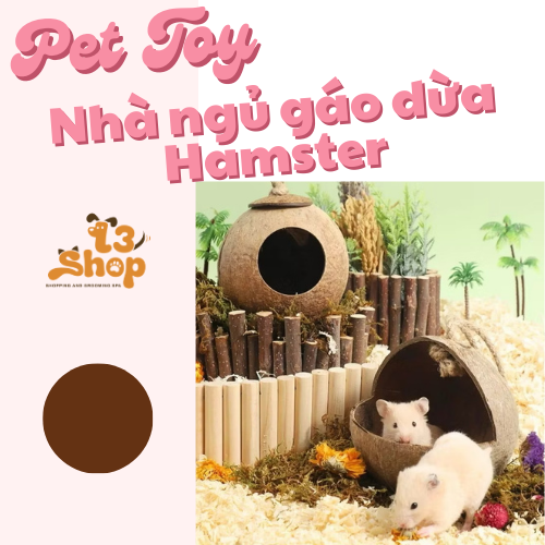 nhà gáo dừa cho hamster / chim / sóc / bò sát - T3 PETS SHOP