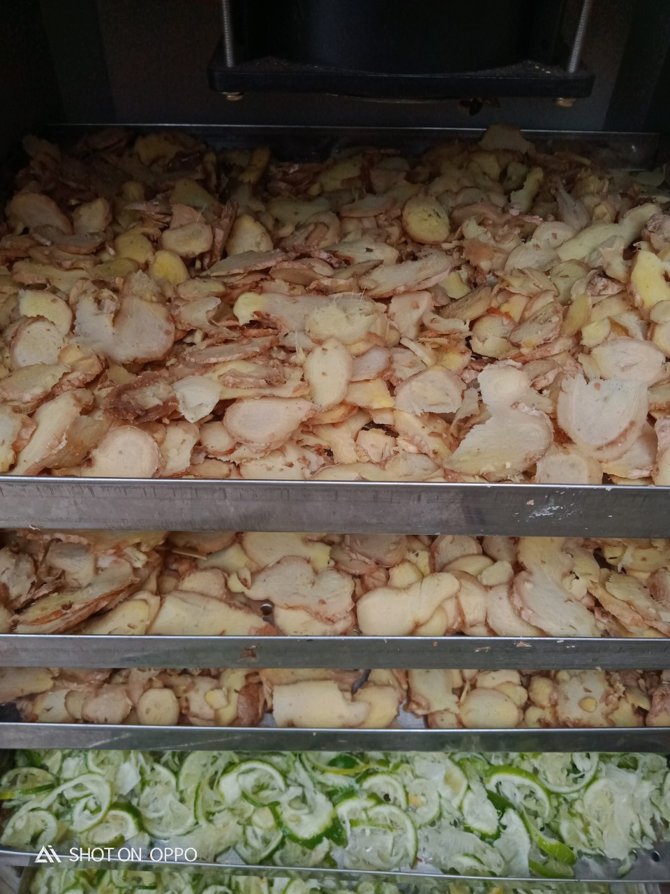 Trà giảm cân Sả Chanh Gừng