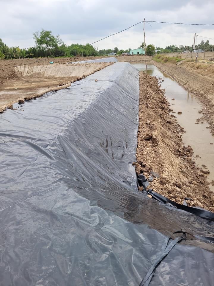 Bạt lót hồ HDPE dày 0.5mm khổ 5m