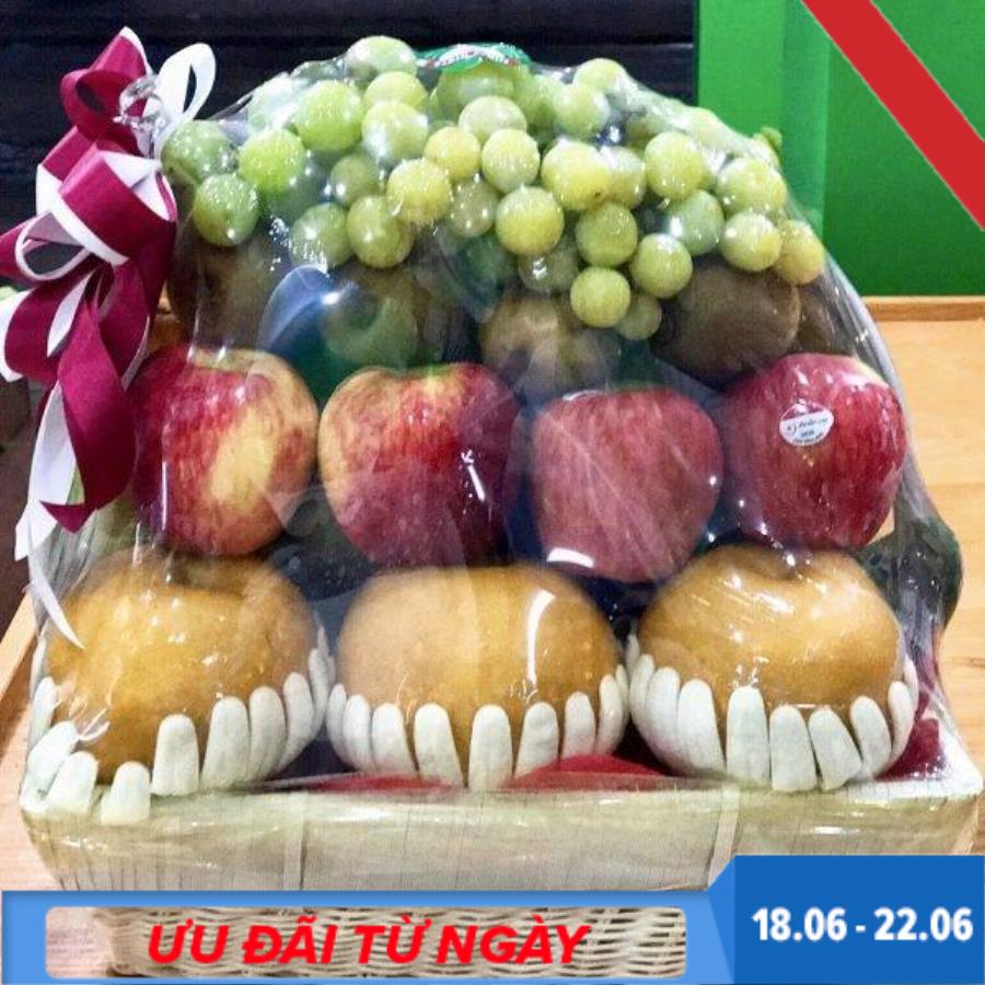 MÀNG CO TÚI BỌC GIỎ QUÀ TẾT -Nhiều Size khách chọn (20 Túi)