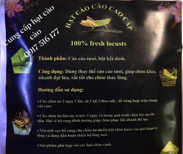 KHÀN LONG ĐỜM, KHÀN GIỌNG CHO CHIM CẢNH