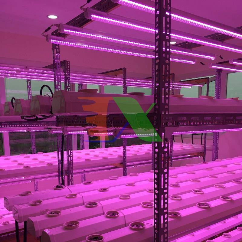 Led grow lights T6 0.6m