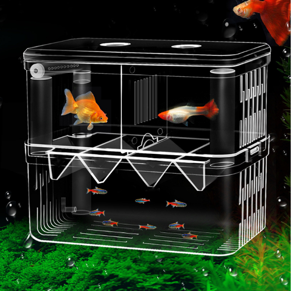 Laying Cages for Fish - Fish Breeding Cages - Mica Breeding Cages