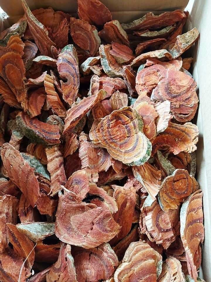 cây huyết đằng khô 1kg