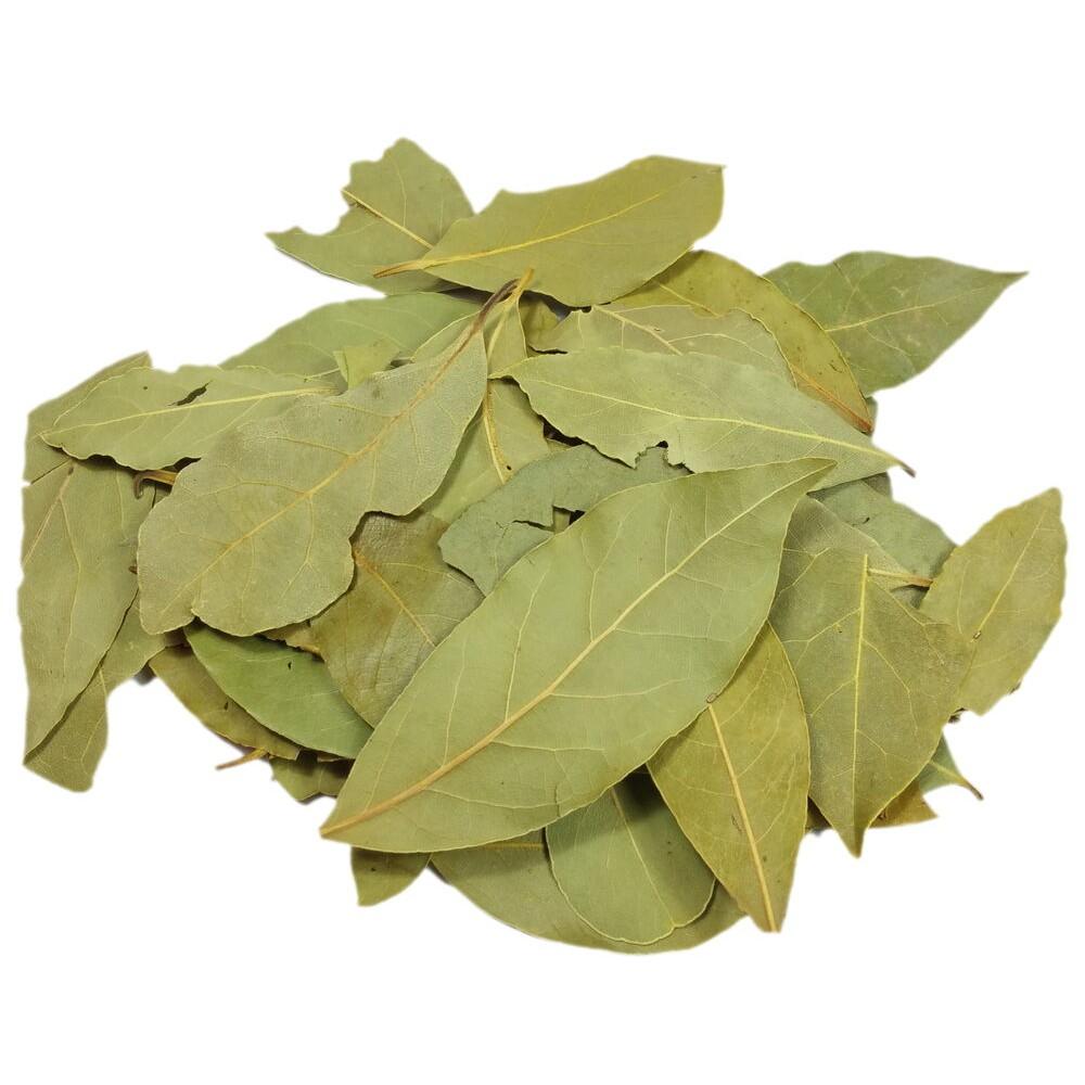 Cây cà ri nuôi chậu từ bé