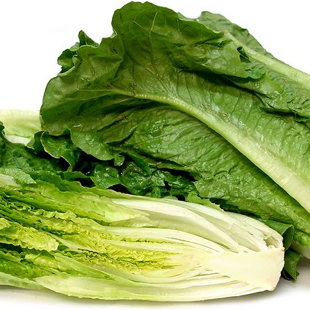Hạt Giống Xà Lách Romaine (2gr)