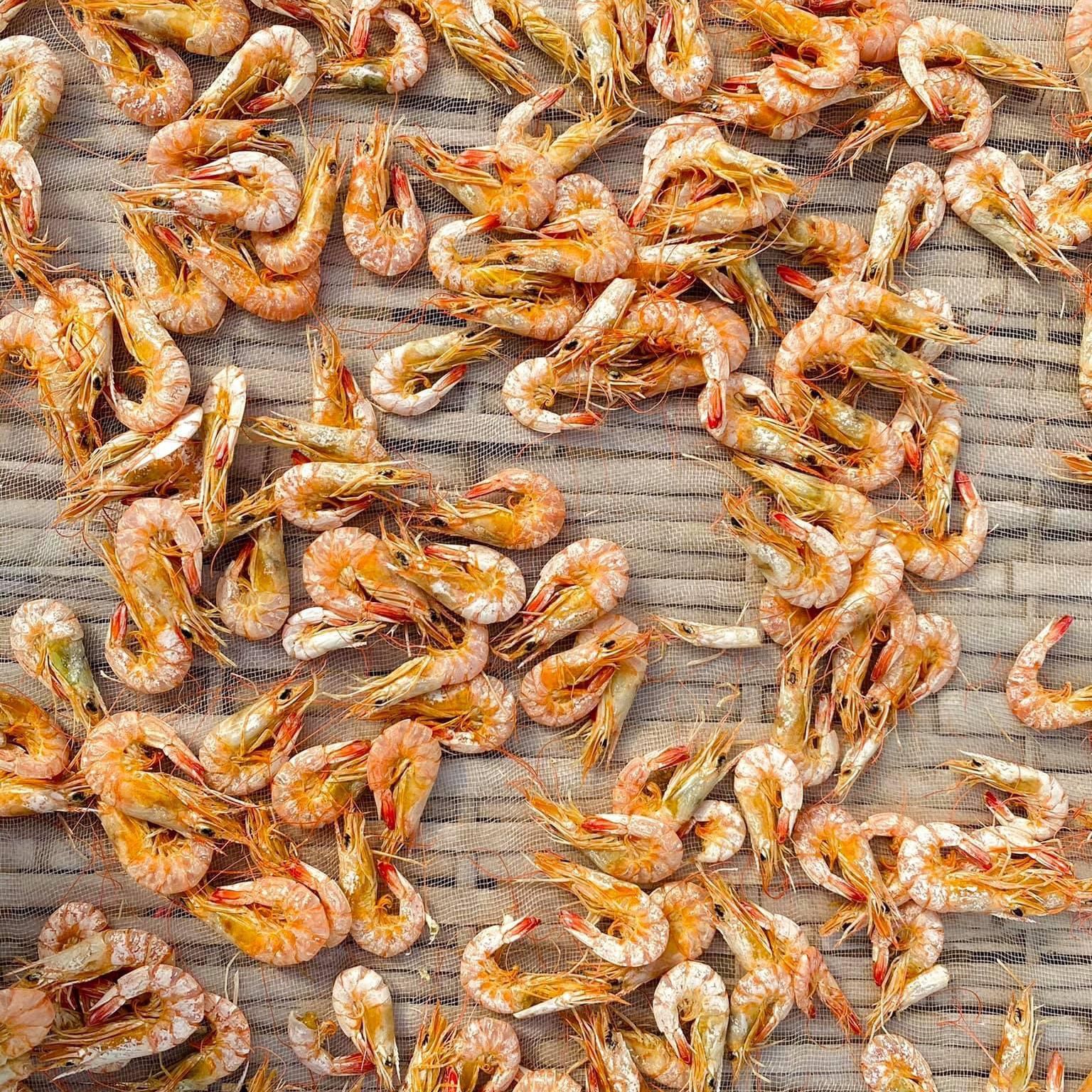 Tôm khô đặc biệt Con Tôm Rừng 500g