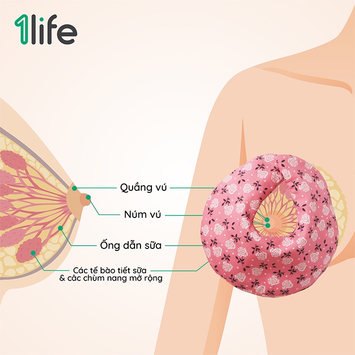[FOLLOW1LIFE] Túi Thảo Mộc 1LIFE Chườm Bầu Ngực