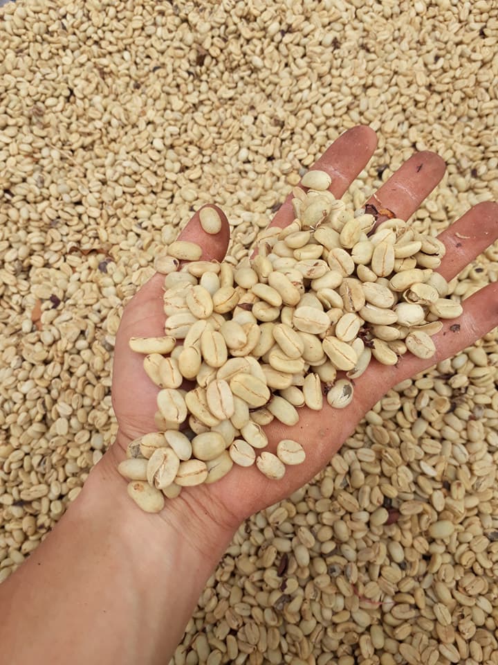 Cà Phê Hạt Specialty Colombia Supremo Washed - COTERO Coffee, pha Drip, Coldbrew, Espresso...