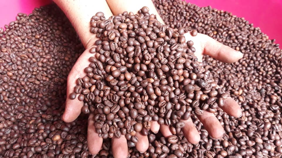 1kg Cà phê Culi Robusta hạt rang mộc