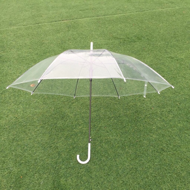 Ô dù đi mưa trong suốt chụp ảnh